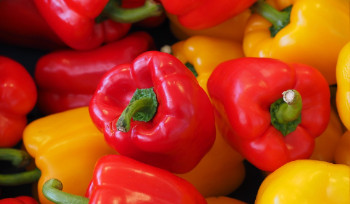 В канун Нового года в Усть-Каменогорске пройдут сельскохозяйственные ярмарки