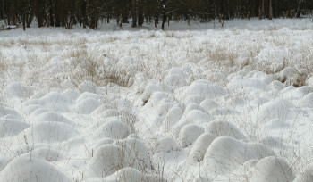 26 декабря в Усть-Каменогорске ожидаются дождь со снегом