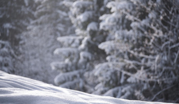 До -30 мороза ожидается в ВКО после потепления