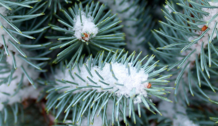 Январь в Казахстане будет теплым