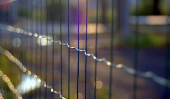 2 тысячи человек вышли на свободу по амнистии в Казахстане