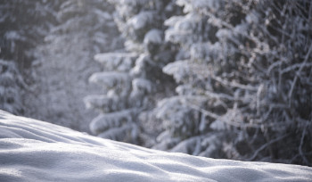 До -40 градусов может опуститься температура воздуха в ВКО уже этой ночью