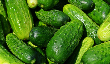 За надбавку более 15% на социально значимые товары штраф может составить до 300 МРП