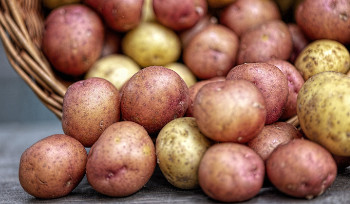 За первую неделю года социально значимые продукты подорожали на 0,2 процента