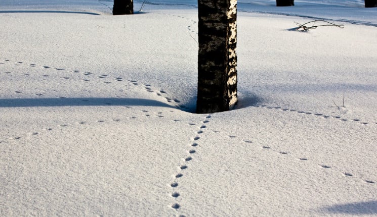 В Усть-Каменогорске побит температурный рекорд, державшийся почти полвека