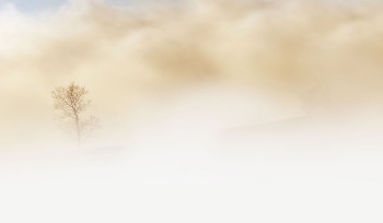 В ВКО ожидается снег, в Усть-Каменогорске - туман