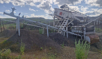 В ВКО заработали на незаконной добыче миллиард тенге