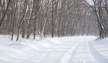 В ВКО ожидается метель и сильный ветер