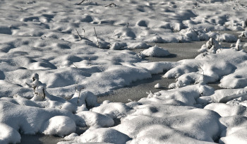 В феврале в ВКО ожидаются сильные морозы и метели