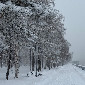 Ночью в ВКО продолжится метель и усилится ветер