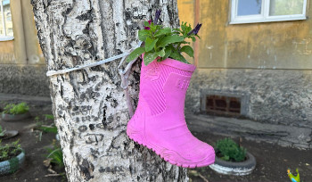 677 млн тенге направит бюджет на исполнение желаний жителей Усть-Каменогорска