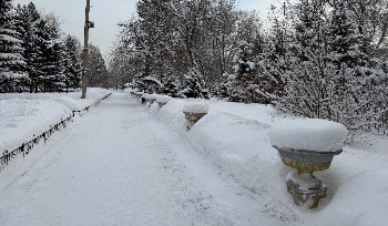 Антициклон принесет в Казахстан потепление