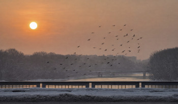 30 января все школьники Усть-Каменогорска учатся дистанционно