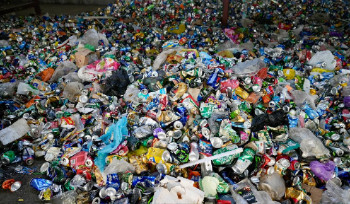 Определить участок для мусороперерабатывающего завода распорядился аким ВКО