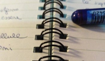 Депутат НПК поднял вопрос эффективности ЕНТ