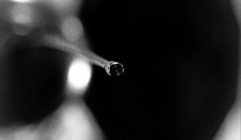 Восточный Казахстан в числе лучших в мире по фехтованию