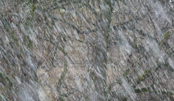 В Усть-Каменогорске ожидается снег с дождем