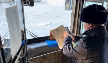 Полицейские ВКО проверят автобусы, перевозящие пассажиров