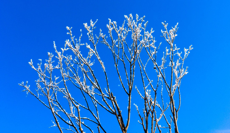 В Казахстан идет арктический антициклон