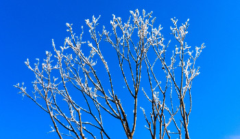 В Казахстан идет арктический антициклон