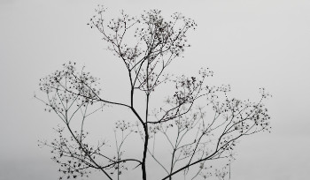 Туман накроет Усть-Каменогорск