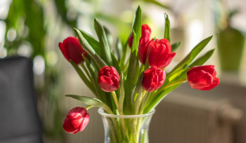 С приближением 8 марта людей предупреждают о росте активности интернет-мошенников