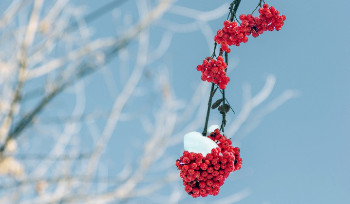 В январе в Усть-Каменогорске снова побит температурный рекорд