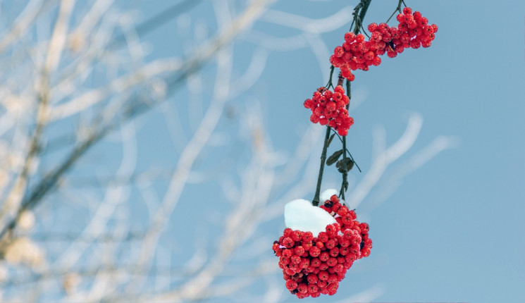 В январе в Усть-Каменогорске снова побит температурный рекорд