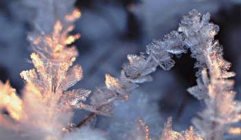 На выходных в ВКО сохранится мороз