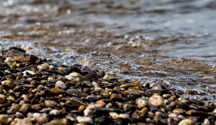 Защитить пляж от течения хотят в Усть-Каменогорске