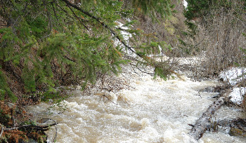 Март в ВКО будет теплым и с большим количеством осадков
