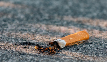 Акиматы наделили правом штрафовать за мусор в общественных местах