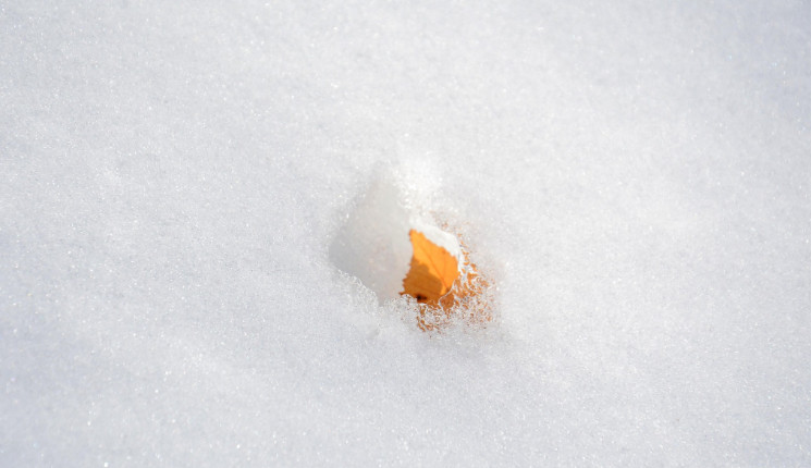 3-5 марта в Казахстане ожидается потепление и осадки