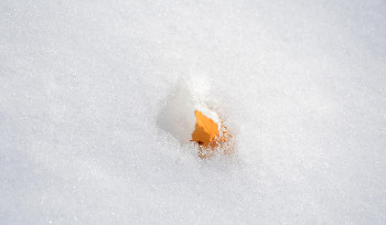 3-5 марта в Казахстане ожидается потепление и осадки