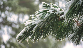 В ВКО в праздничные дни продолжатся осадки