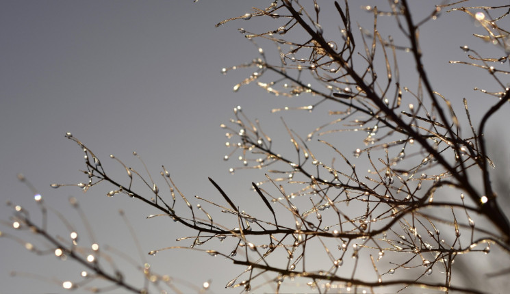 В ВКО вновь начинаются морозы после оттепели