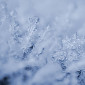 В ВКО ожидается до 30 градусов мороза