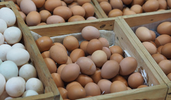 В Казахстане начались праздничные скидки к Наурызу