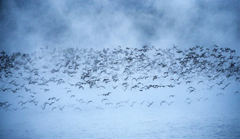 В Усть-Каменогорске снова будет туманно