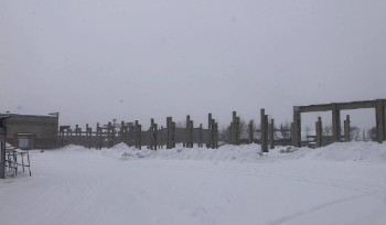 В Усть-Каменогорске построят новый молокозавод