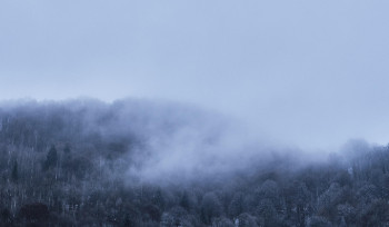 Третий день подряд в Усть-Каменогорске будет туман