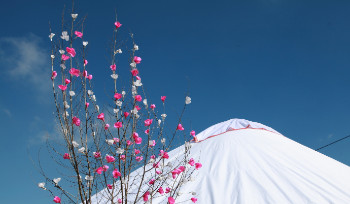 В Усть-Каменогорске продолжаются праздничные мероприятия, приуроченные к Наурызу