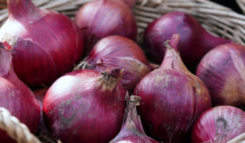 В Усть-Каменогорске пройдет сельскохозяйственная ярмарка к Наурызу