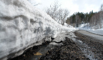 До 15 градусов тепла ожидается в ВКО