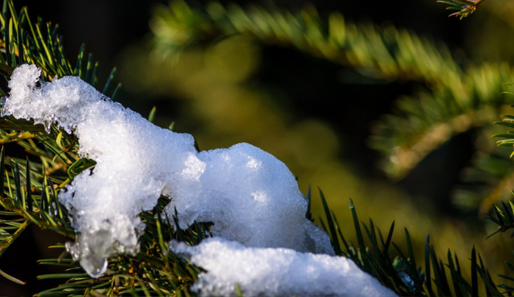 Активное таяние снега начинается в ВКО