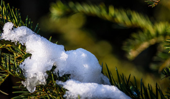 Активное таяние снега начинается в ВКО
