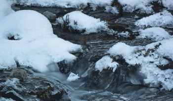 В ВКО открыли родники и очистили берег водоема