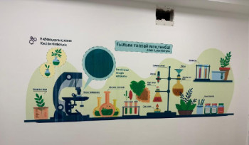 В школах Казахстана внедряется единый дизайн-код