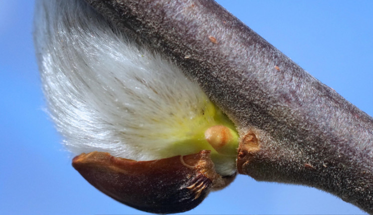 До 20 градусов тепла ожидается в ВКО