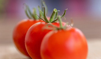 В Казахстане планируют стабилизировать цены на помидоры и огурцы